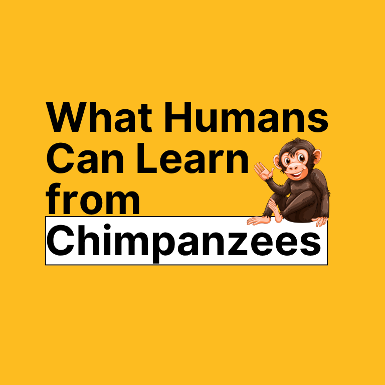 avi liran singapore motivation